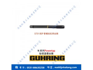 钴领丝锥刀具N 系列5731 BSP 管螺纹机用丝锥